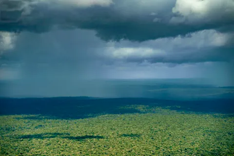 Dark rain clouds above a broad expanse of green forest.