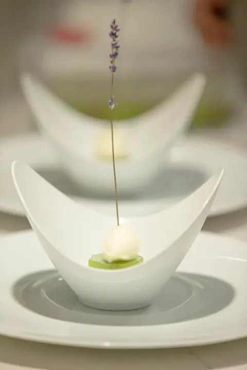 A delicate single flower presented upright in a curved white bowl.